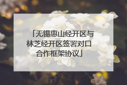 无锡惠山经开区与林芝经开区签署对口合作框架协议