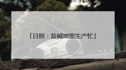 日照：盐碱地里生产忙