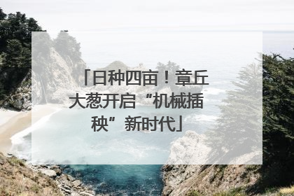 日种四亩！章丘大葱开启“机械插秧”新时代