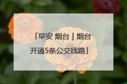 早安 烟台｜烟台开通5条公交线路