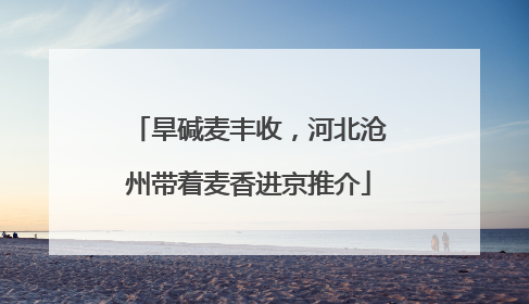 旱碱麦丰收，河北沧州带着麦香进京推介