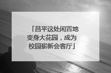 昌平这处闲置地变身大花园，成为校园崭新会客厅