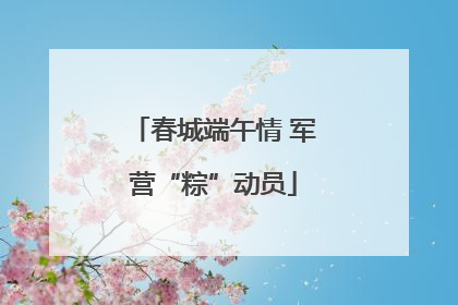 春城端午情 军营“粽”动员
