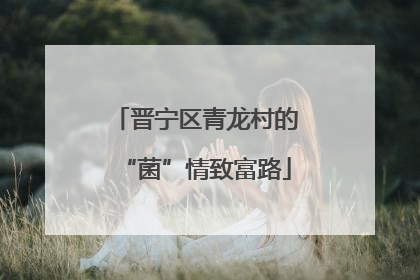 晋宁区青龙村的“菌”情致富路