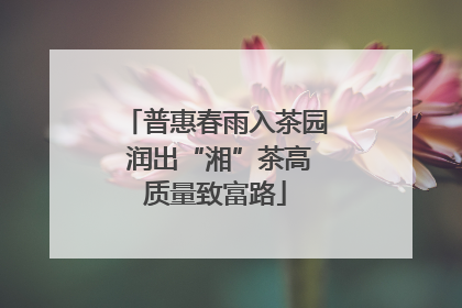 普惠春雨入茶园 润出“湘”茶高质量致富路