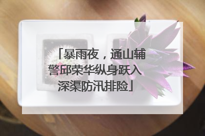 暴雨夜，通山辅警邱荣华纵身跃入深渠防汛排险