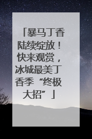 暴马丁香陆续绽放！快来观赏，冰城最美丁香季“终极大招”