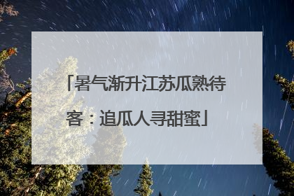 暑气渐升江苏瓜熟待客：追瓜人寻甜蜜