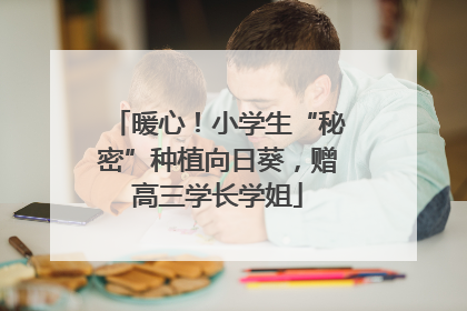暖心！小学生“秘密”种植向日葵，赠高三学长学姐