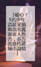 暖心！5名少年清晨采摘助北宅孤寡老人售杏，多方善意传递城市温情