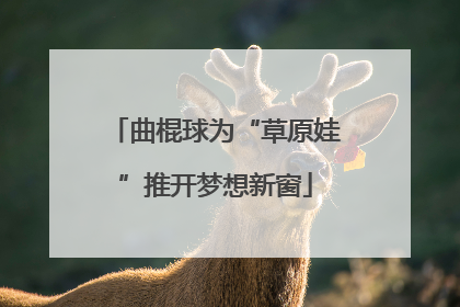 曲棍球为“草原娃”推开梦想新窗