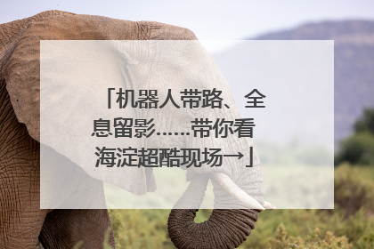 机器人带路、全息留影……带你看海淀超酷现场→