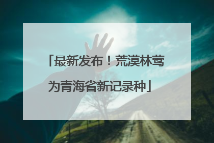 最新发布！荒漠林莺为青海省新记录种