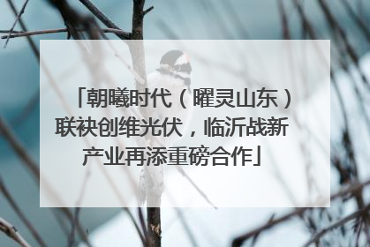 朝曦时代（曜灵山东）联袂创维光伏，临沂战新产业再添重磅合作