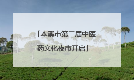 本溪市第二届中医药文化夜市开启