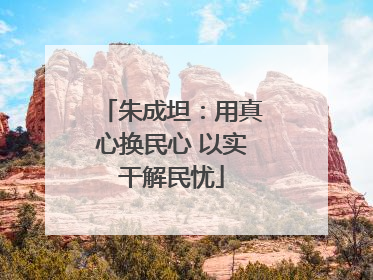 朱成坦：用真心换民心 以实干解民忧