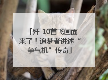 歼-10首飞画面来了！追梦者讲述“争气机”传奇