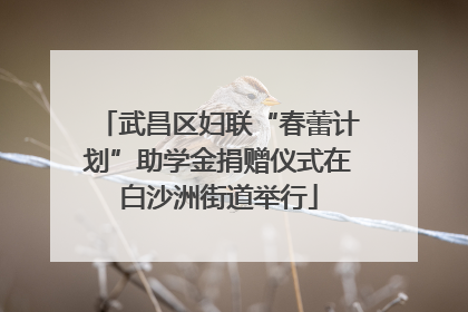 武昌区妇联“春蕾计划”助学金捐赠仪式在白沙洲街道举行