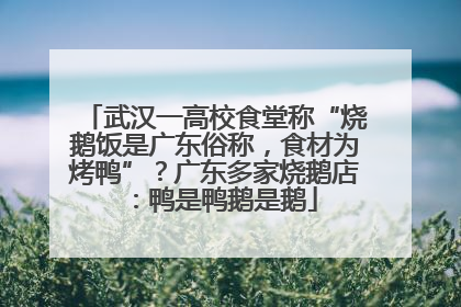 武汉一高校食堂称“烧鹅饭是广东俗称，食材为烤鸭”？广东多家烧鹅店：鸭是鸭鹅是鹅