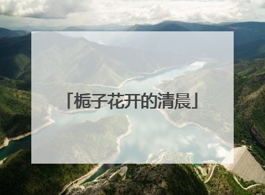 栀子花开的清晨