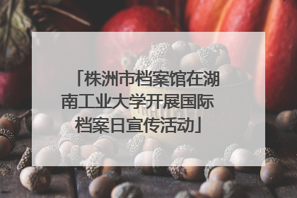 株洲市档案馆在湖南工业大学开展国际档案日宣传活动