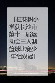 桂花树小学获长沙市第十一届运动会三人制篮球比赛少年组双冠