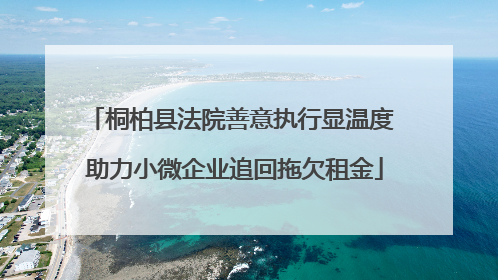 桐柏县法院善意执行显温度 助力小微企业追回拖欠租金