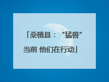 桑植县：“猛兽”当前 他们在行动