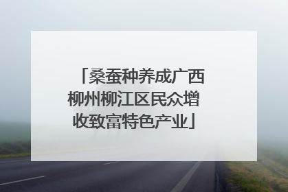 桑蚕种养成广西柳州柳江区民众增收致富特色产业