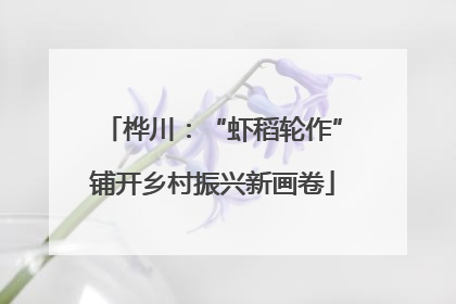 桦川：“虾稻轮作”铺开乡村振兴新画卷