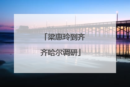 梁惠玲到齐齐哈尔调研