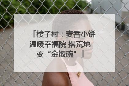 楼子村：麦香小饼温暖幸福院 撂荒地变“金饭碗”