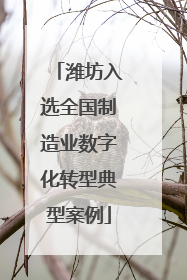 潍坊入选全国制造业数字化转型典型案例