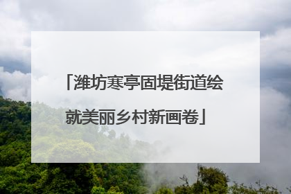 潍坊寒亭固堤街道绘就美丽乡村新画卷