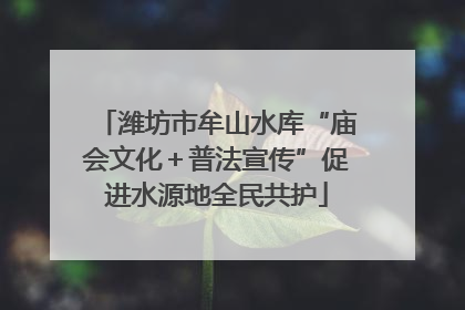 潍坊市牟山水库“庙会文化＋普法宣传”促进水源地全民共护