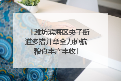 潍坊滨海区央子街道多措并举全力护航粮食丰产丰收