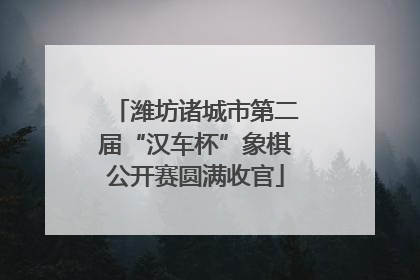 潍坊诸城市第二届“汉车杯”象棋公开赛圆满收官