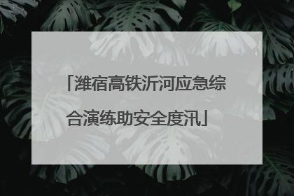 潍宿高铁沂河应急综合演练助安全度汛