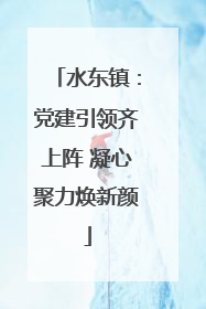水东镇：党建引领齐上阵 凝心聚力焕新颜