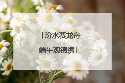 汾水赛龙舟 端午观锦绣
