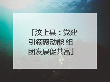 汶上县：党建引领聚动能 组团发展促共富
