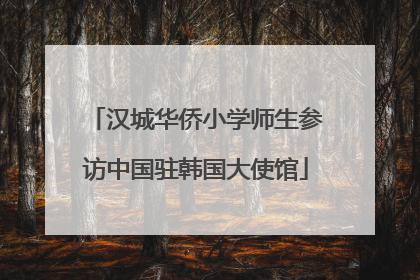 汉城华侨小学师生参访中国驻韩国大使馆