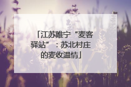 江苏睢宁“麦客驿站”：苏北村庄的麦收温情