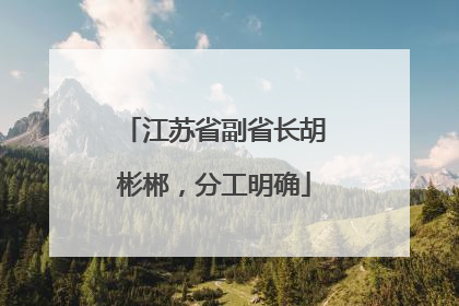 江苏省副省长胡彬郴，分工明确