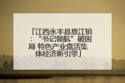 江西永丰县恩江镇：“书记领航”破困局 特色产业盘活集体经济新引擎