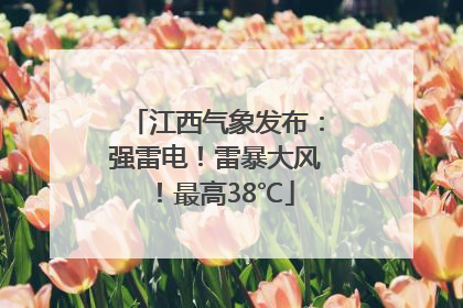 江西气象发布：强雷电！雷暴大风！最高38℃