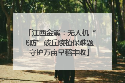 江西金溪：无人机“飞防”破丘陵植保难题 守护万亩早稻丰收
