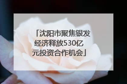 沈阳市聚焦银发经济释放530亿元投资合作机会