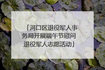 河口区退役军人事务局开展端午节慰问退役军人志愿活动