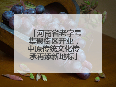 河南省老字号集聚街区开业，中原传统文化传承再添新地标